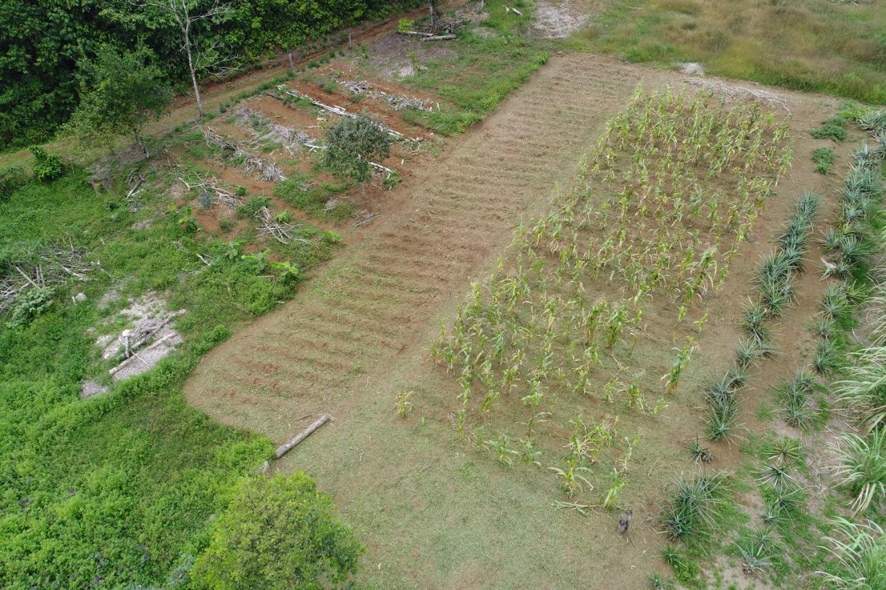 Hope Garden, Sarapiqui, We Connect You With The Sarapiqui Tropical Forest Exterior photo