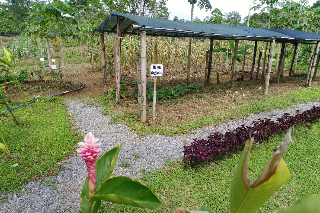 Hope Garden, Sarapiqui, We Connect You With The Sarapiqui Tropical Forest Exterior photo