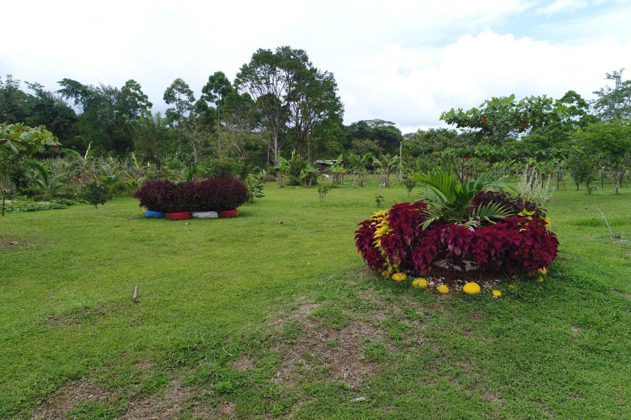 Hope Garden, Sarapiqui, We Connect You With The Sarapiqui Tropical Forest Exterior photo