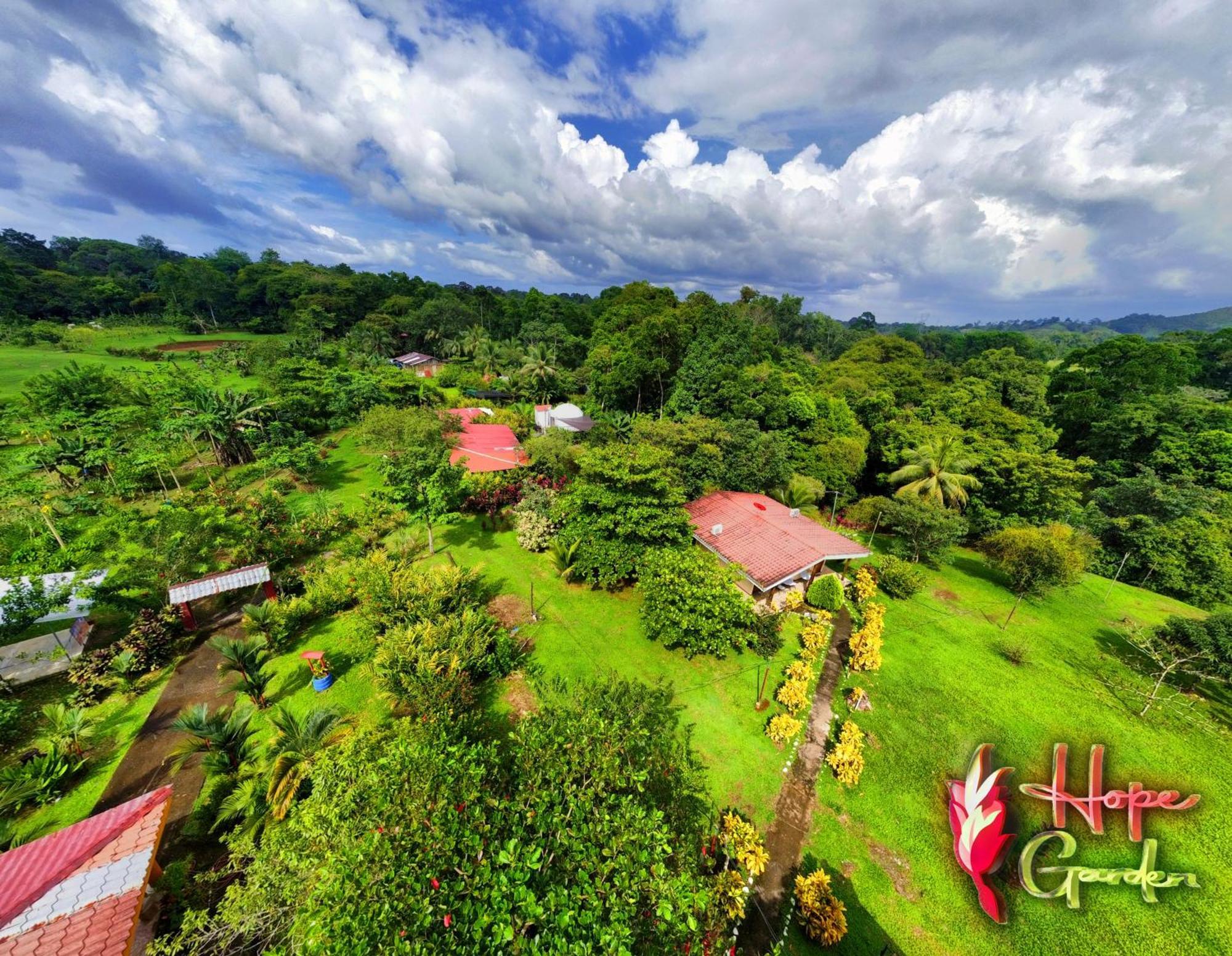 Hope Garden, Sarapiqui, We Connect You With The Sarapiqui Tropical Forest Exterior photo