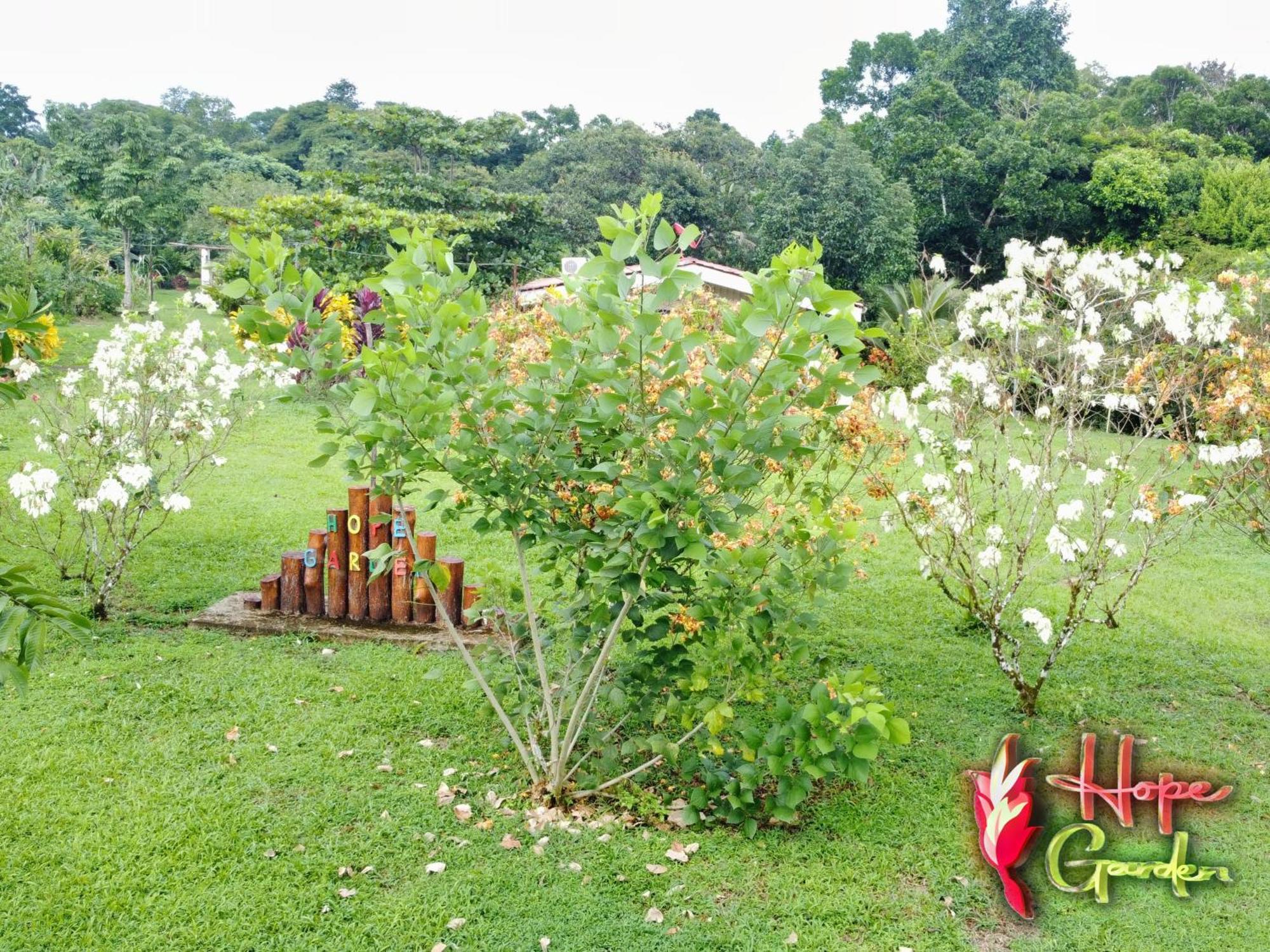 Hope Garden, Sarapiqui, We Connect You With The Sarapiqui Tropical Forest Exterior photo