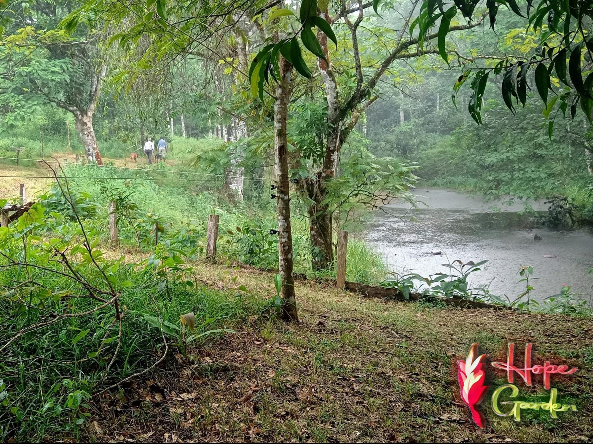 Hope Garden, Sarapiqui, We Connect You With The Sarapiqui Tropical Forest Exterior photo