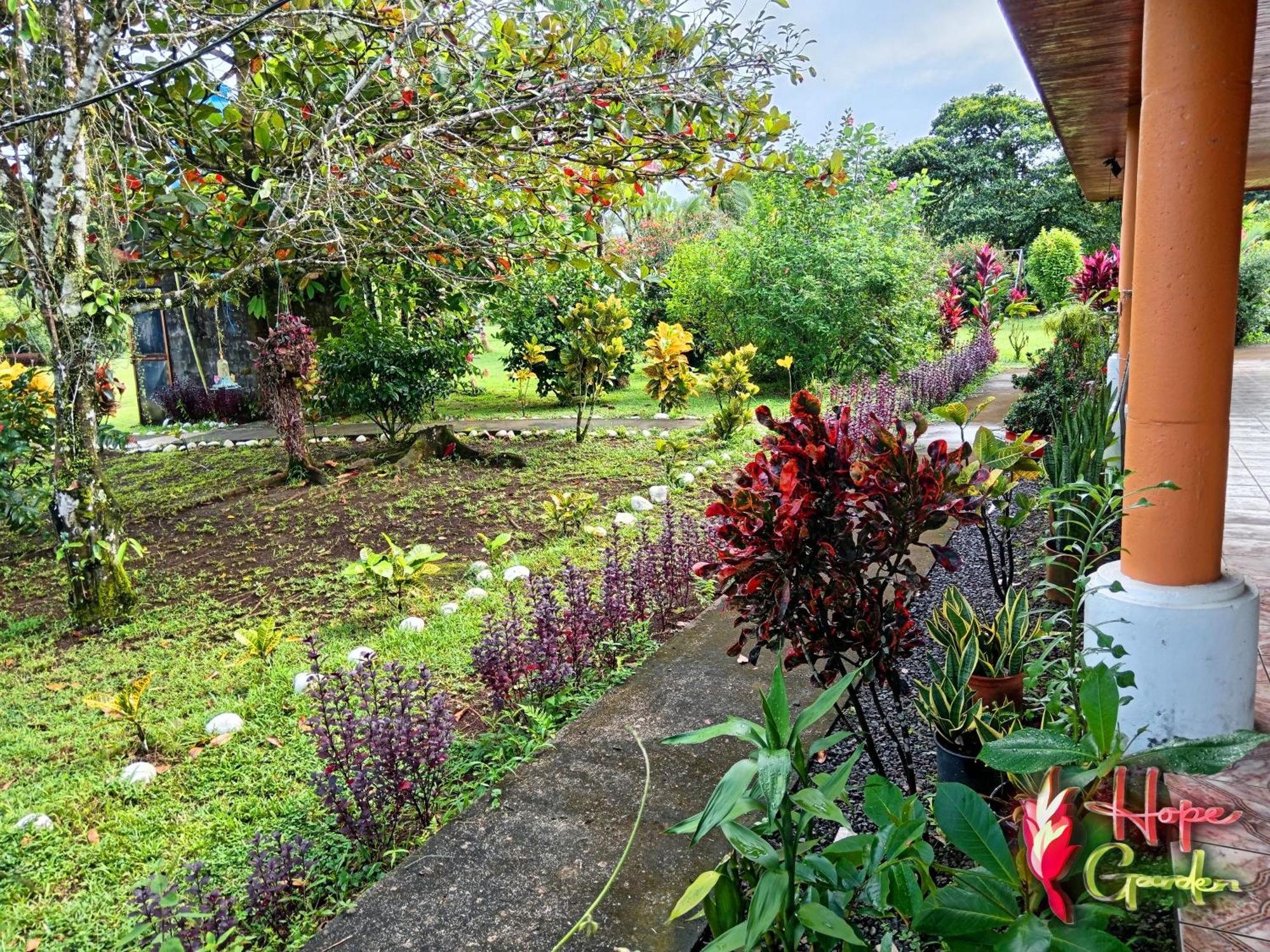 Hope Garden, Sarapiqui, We Connect You With The Sarapiqui Tropical Forest Exterior photo