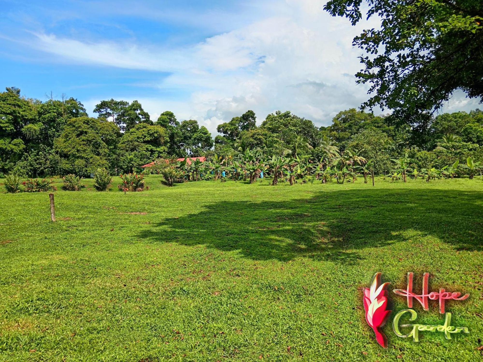Hope Garden, Sarapiqui, We Connect You With The Sarapiqui Tropical Forest Exterior photo